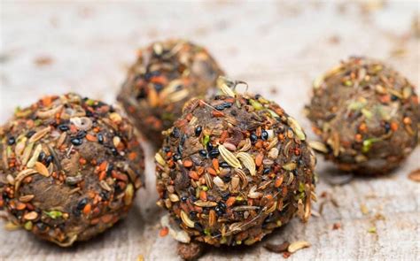 How To Make Seed Bombs To Brighten Up Your Patch The Telegraph