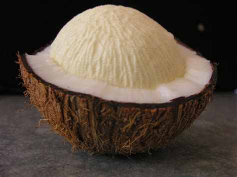 Sprouted Coconuts Health Benefits India Today