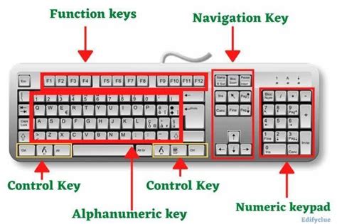 Learning Task 5 Below Is A Picture Of A Computer Keyboard Identify