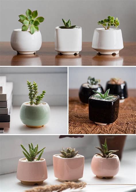 Modern Ceramic Succulent Pots In White Mint Green Black And Soft
