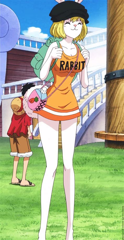 Goccedivelenonelbicchiere Carrot Manga Anime One Piece One Piece Manga One Piece