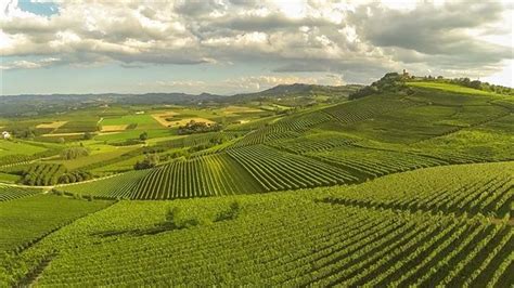 Walking In Piedmont The Vineyards Of La Morra Northern Italy