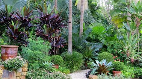 If you need more help creating something beautifully unique, contact one of the hundreds of garden professionals available on houzz. Tropical Heatwave - Grow Beautifully