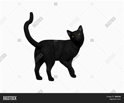 Black Halloween Cat Image And Photo Free Trial Bigstock