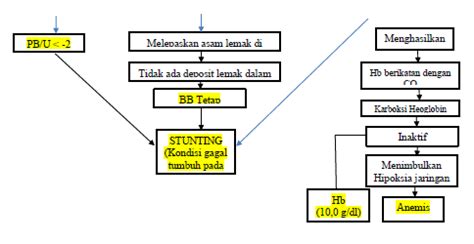 Stunting Final Concept Map Patofisiologi Etiologi Dll Dokteroce