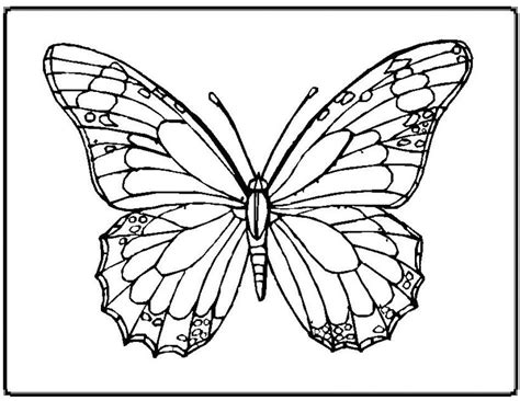 It will look lovely in a frame even as a black and white print or proudly display your colored version on the wall for +++ the coloring pages are digital files, no physical product will have to be shipped therefore no shipping fees will be charged. Butterfly Mandala Pages Coloring Pages