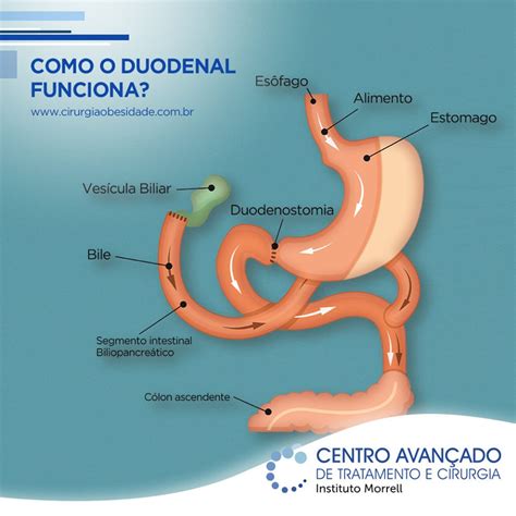 Substância Responsável Por Neutralizar A Acidez Do Quimo No Duodeno
