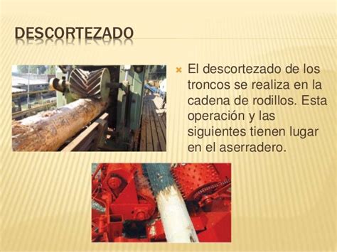 Proceso De Obtencion De La Madera Estudiar