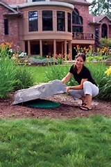 Pictures of Rock For Landscaping Price