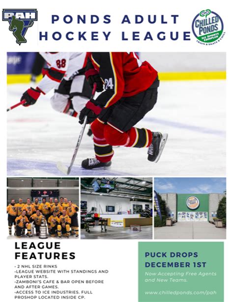 Ponds Adult Hockey League New Season
