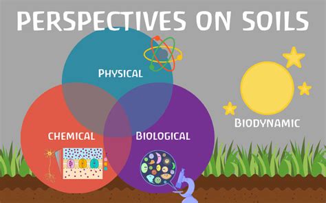 Soil Physical Chemical Biological And Biodynamic Perspectives On