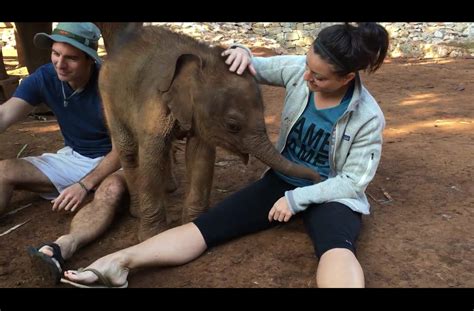 Playing With A Baby Elephant Looks Like The Most Fun