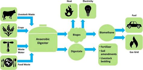Factsheet Biogas Omzetting Van Afval In Energie White Papers Mex