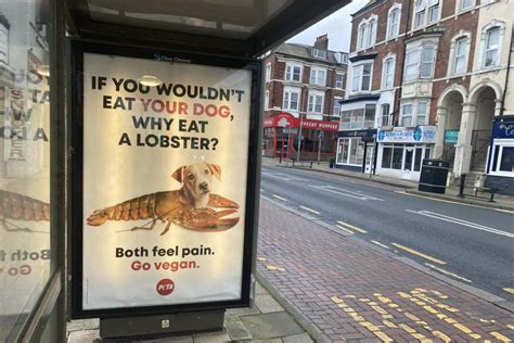 Peta Posters ‘attack Lobster Fishing In Bridlington Stirring Debate On