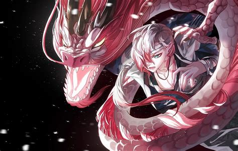Aggregate More Than 77 Anime Dragon Guy Latest Induhocakina