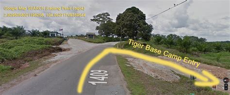 Tiger Base Camp Tbc Best Malaysia Campsite 2023 🏕️