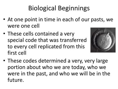 Ppt Biological Beginnings Powerpoint Presentation Free Download Id 2368729