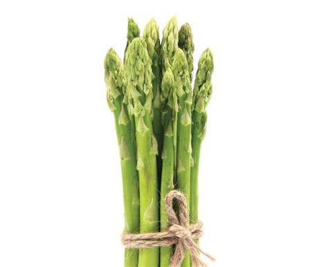 The Lost Plot Growing Asparagus Healthy Food Guide