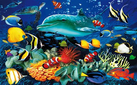 Dolphins Underwater Wallpapers - Wallpaper Cave