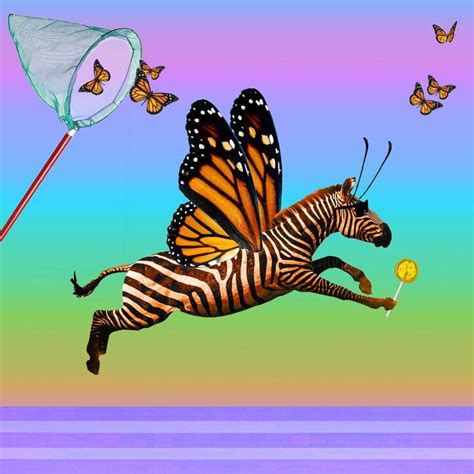 Julia Mclaurin Butter Zebra Psychedelic Rainbow Monarch Butterfly