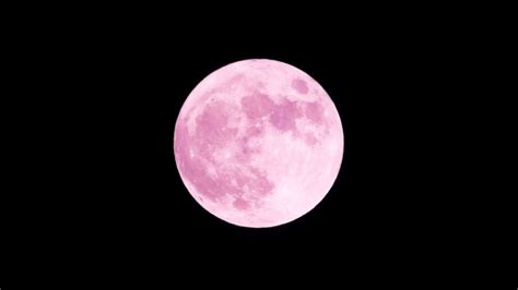 Pink Moon 2021 Best Place To See Astro Bob Set Your Sights On The