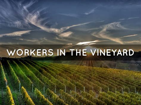 Workers In The Vineyard By Theresamedina