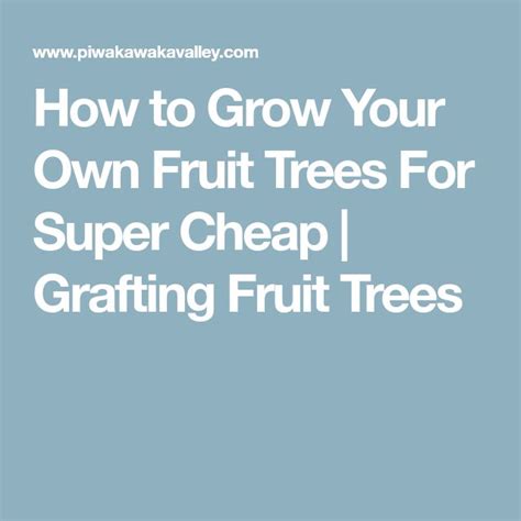 Grafting Fruit Trees A Step By Step Guide On How To Graft A Tree