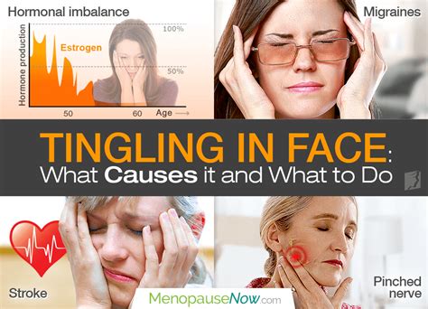 Tingling In Face What Causes It And What To Do Facial Nerve Face Bells Palsy
