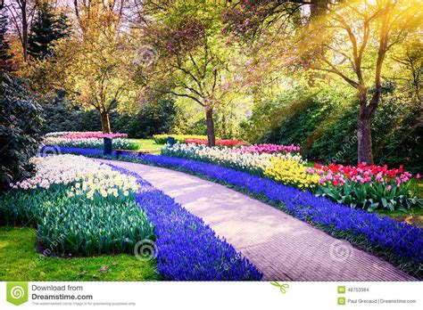 Spring Landscape With Colorful Flowers Stock Photo Image