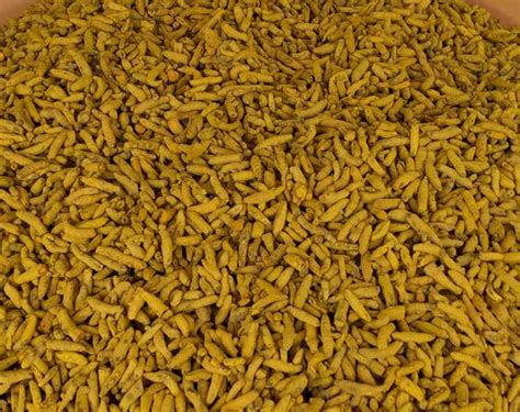 Salem Turmeric Finger For Cooking At Best Price In Tiruchirappalli