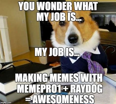 This Is A Dogs Job Dogs Funny Memes