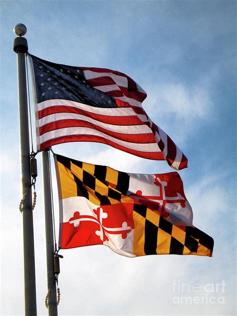 42 Maryland Flag Wallpaper Wallpapersafari