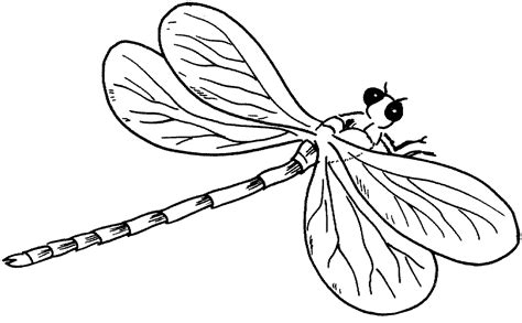 Free printable dragonfly coloring pages for kids that you can print out and color. Free Printable Dragonfly Coloring Pages For Kids