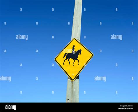 Yellow Roadside Sign Warning Of Horseriders New South Wales Nsw