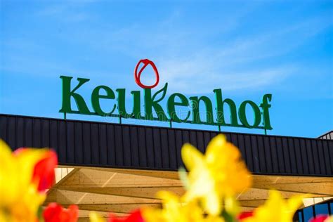 Amazing Keukenhof Botanical Garden Tulips And Flowers Stock Image