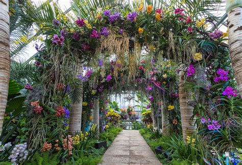 Our local garden expert recommended this garden as being somewhere that one could learn something new every day. ANNE BELMONT PHOTOGRAPHY | The 2017 Orchid Show at the ...