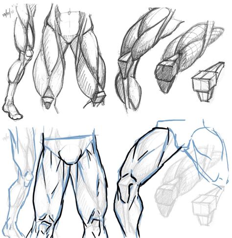 How To Draw Legs And Feet The Correct Way Step By Step Online
