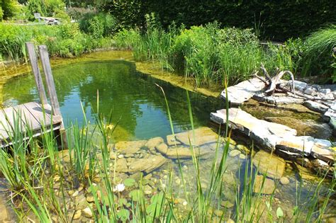 Auch ein hausmittel hilf beim bekämpfen der ameisen. Hilfe gegen Algen im Schwimmteich