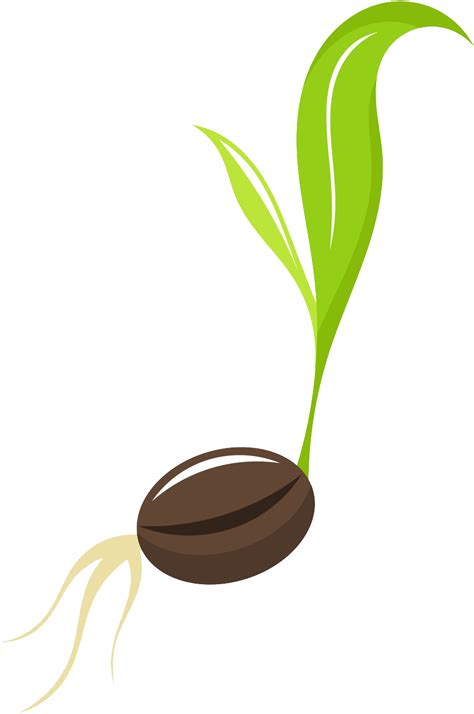 Seed Png Hd Png Mart