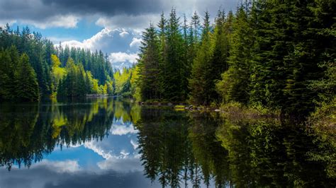 Fond Décran Canada Water Refletion Des Arbres La Nature Forêt