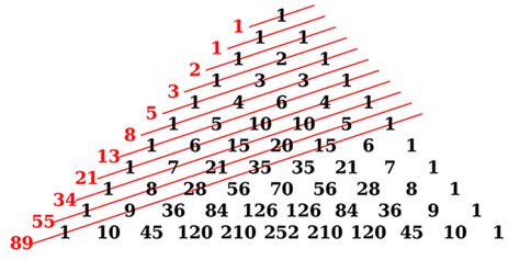 10 Facts On Leonardo Fibonacci And The Fibonacci Sequence Learnodo