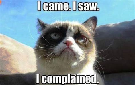 I Came I Saw I Complained Funny Grumpy Cat Memes Grumpy Cat Meme
