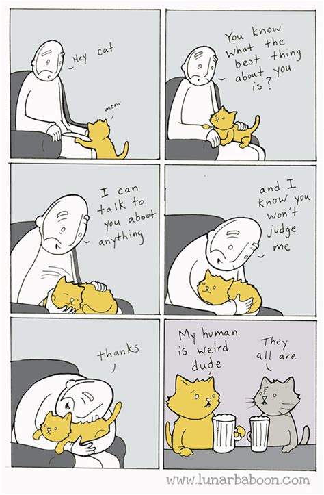 10 Funny Cat Comics By Lunarbaboon Top13
