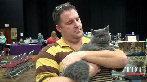 And the international cat association (tica) put on hundreds of different kinds of cat shows. Austin Cat Fanciers Association Cat Show - YouTube