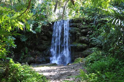 Rainbow Springs State Park Waterfall Waterfalls In Florid Flickr