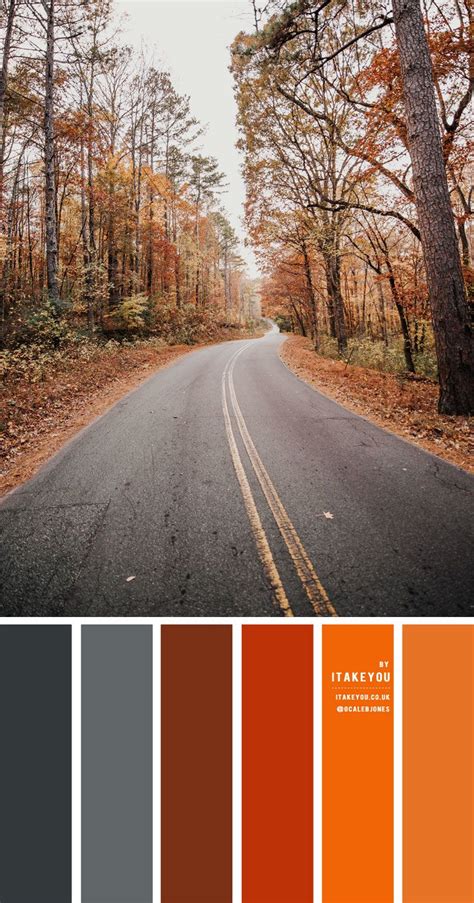Brown Dark Grey And Orange Rust Color Scheme Color Palette 27 Rust