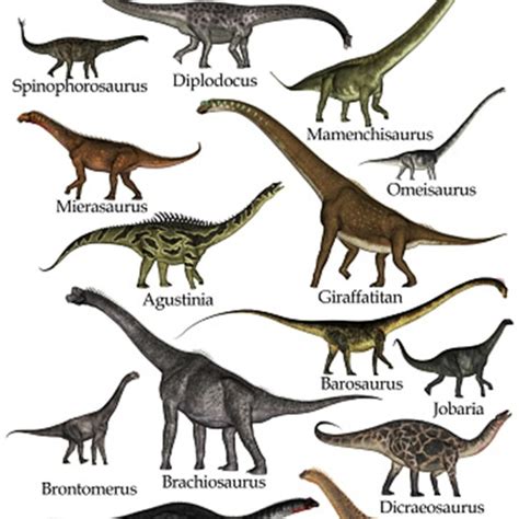 Diplodocus Vs Brachiosaurus Detailed Difference All The Differences