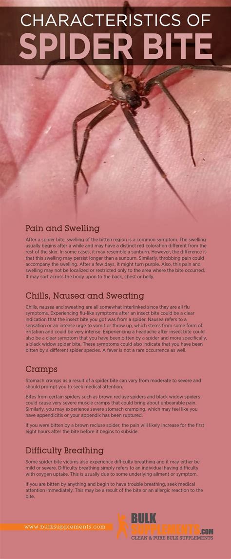Spider Bite Characteristics Causes And Treatment By Paul Linden Medium
