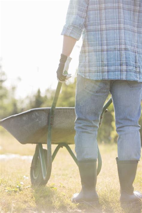 1034 Man Pushing Wheelbarrow Stock Photos Free And Royalty Free Stock