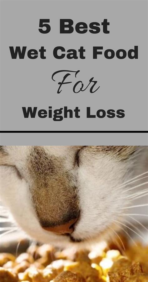 With fewer calories foods and exercises, your cat becomes a healthy weight. Pin on Cat Food